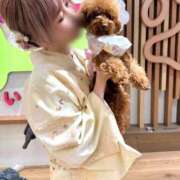 ヒメ日記 2026/01/15 19:46 投稿 ヒヨリ ロボットデリヘル