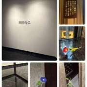 柚希 美術館に行ってきました。 Arrest（アレスト）