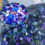 ヒメ日記 2025/04/27 05:55 投稿 香坂（こうさか） 熟女の風俗最終章 大宮店