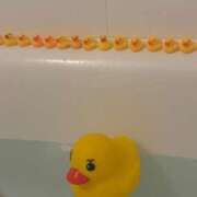 ヒメ日記 2025/07/20 06:15 投稿 かふぇ ぽっちゃり巨乳専門木更津君津ちゃんこin千葉