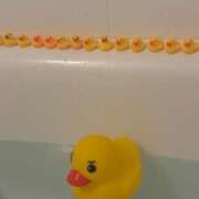 ヒメ日記 2025/11/17 11:45 投稿 かふぇ ぽっちゃり巨乳専門木更津君津ちゃんこin千葉