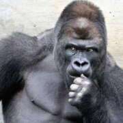 ヒメ日記 2025/01/18 09:05 投稿 なぎさ One More奥様　立川店