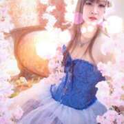 ヒメ日記 2025/02/26 01:03 投稿 なぎさ One More奥様　立川店