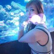 ヒメ日記 2025/07/02 21:21 投稿 なぎさ One More奥様　立川店