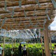 ヒメ日記 2025/07/27 16:29 投稿 なぎさ One More奥様　立川店