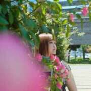 ヒメ日記 2025/08/11 17:12 投稿 なぎさ One More奥様　立川店