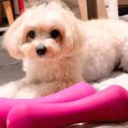 ヒメ日記 2025/10/05 13:55 投稿 雪野【エステ限定】 ファッションヘルス カリスマ