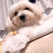 ヒメ日記 2026/01/23 11:55 投稿 雪野【エステ限定】 ファッションヘルス カリスマ