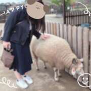 ヒメ日記 2025/12/23 19:47 投稿 しいな 錦糸町ぽちゃカワ女子専門店！我慢できないの！