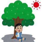 ヒメ日記 2026/08/18 15:03 投稿 しいな 錦糸町ぽちゃカワ女子専門店！我慢できないの！