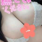 ヒメ日記 2025/12/09 21:23 投稿 いずみ ダンシングおっぱいTEAM爆