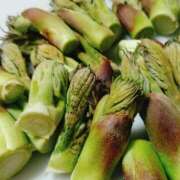 ヒメ日記 2025/04/10 05:22 投稿 ひなた 山梨デリヘル 絆