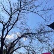 いよ よろしくお願いします〜 しろうと娘　本店