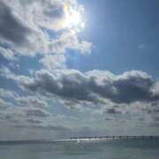 ヒメ日記 2025/08/30 11:53 投稿 いよ しろうと娘　本店