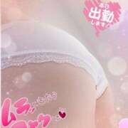 ヒメ日記 2025/03/08 13:15 投稿 スズネ 【福岡デリヘル】20代・30代★博多で評判のお店はココです！