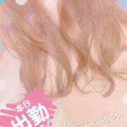 ヒメ日記 2025/03/14 07:45 投稿 スズネ 【福岡デリヘル】20代・30代★博多で評判のお店はココです！