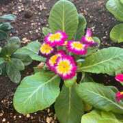 ヒメ日記 2025/10/30 00:03 投稿 【ななせ】口コミで絶賛の嵐！！ おねだり宮崎