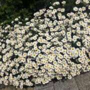 ヒメ日記 2025/11/01 00:38 投稿 【ななせ】口コミで絶賛の嵐！！ おねだり宮崎