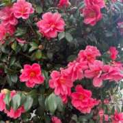 ヒメ日記 2026/02/20 18:38 投稿 【ななせ】口コミで絶賛の嵐！！ おねだり宮崎