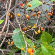 ヒメ日記 2026/02/22 23:38 投稿 【ななせ】口コミで絶賛の嵐！！ おねだり宮崎