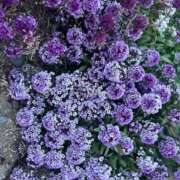 【ななせ】口コミで絶賛の嵐！！ ☺️☺️☺️🫶🏻 おねだり宮崎