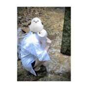 ヒメ日記 2025/02/03 12:30 投稿 ひまり 新大阪秘密倶楽部