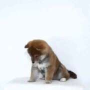 ヒメ日記 2025/07/12 09:15 投稿 ひまり 新大阪秘密倶楽部