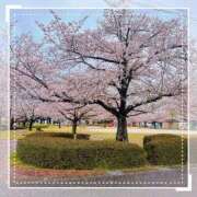 あきら【11/9デビュー】 思わず立ち止まって𓂃🫧‪ Aroma de TOKYO 三河店（岡崎・豊田・安城）