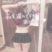 ヒメ日記 2025/03/19 18:09 投稿 モカ ギャルズネットワーク 姫路