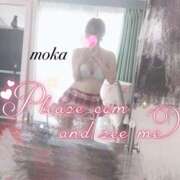 ヒメ日記 2025/05/25 16:13 投稿 モカ ギャルズネットワーク 姫路