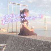 ヒメ日記 2025/08/15 10:19 投稿 モカ ギャルズネットワーク 姫路