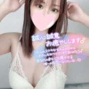 ヒメ日記 2025/08/30 19:02 投稿 モカ ギャルズネットワーク 姫路