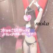 ヒメ日記 2026/05/05 09:37 投稿 モカ ギャルズネットワーク 姫路