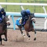 ヒメ日記 2025/04/03 14:34 投稿 なお 東京デザインリング錦糸町店