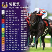 ヒメ日記 2026/10/23 18:49 投稿 なお S級美女専門 ロイヤルリング錦糸町店