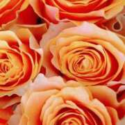 ヒメ日記 2024/12/19 15:19 投稿 フランスア 鶯谷デッドボール