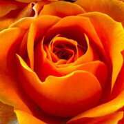 ヒメ日記 2024/12/28 09:40 投稿 フランスア 鶯谷デッドボール