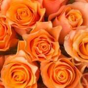 ヒメ日記 2025/02/05 14:08 投稿 フランスア 鶯谷デッドボール