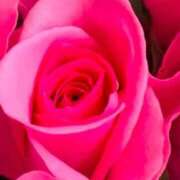 ヒメ日記 2025/02/08 09:25 投稿 フランスア 鶯谷デッドボール