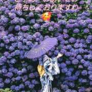 ヒメ日記 2025/06/27 07:39 投稿 フランスア 鶯谷デッドボール