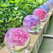 ヒメ日記 2025/08/14 10:19 投稿 フランスア 鶯谷デッドボール