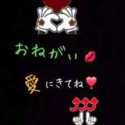 ヒメ日記 2026/01/17 14:14 投稿 フランスア 鶯谷デッドボール