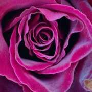 ヒメ日記 2026/02/03 21:59 投稿 フランスア 鶯谷デッドボール