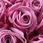 ヒメ日記 2026/02/06 21:32 投稿 フランスア 鶯谷デッドボール