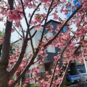 ヒメ日記 2026/02/27 19:29 投稿 フランスア 鶯谷デッドボール