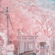 ヒメ日記 2026/03/07 19:10 投稿 フランスア 鶯谷デッドボール