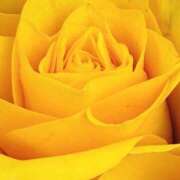 ヒメ日記 2026/03/08 08:49 投稿 フランスア 鶯谷デッドボール