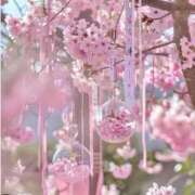 フランスア 📢お知らせ📢 鶯谷デッドボール