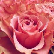 ヒメ日記 2026/04/10 19:29 投稿 フランスア 鶯谷デッドボール