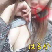 ヒメ日記 2025/06/04 16:16 投稿 はるか 出会い系人妻ネットワーク 春日部〜岩槻編